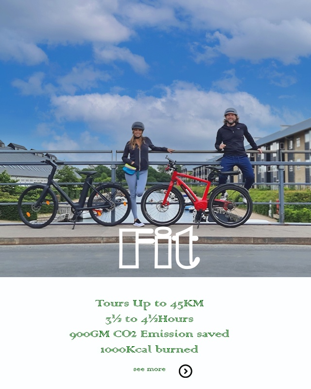 fit category ebike eadventure copenhagen denmark